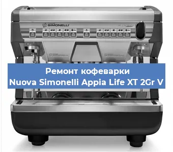 Чистка кофемашины Nuova Simonelli Appia Life XT 2Gr V от накипи в Нижнем Новгороде